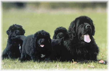 Bonne semaine � tous et merci pour vos coms!!!!!!!!!